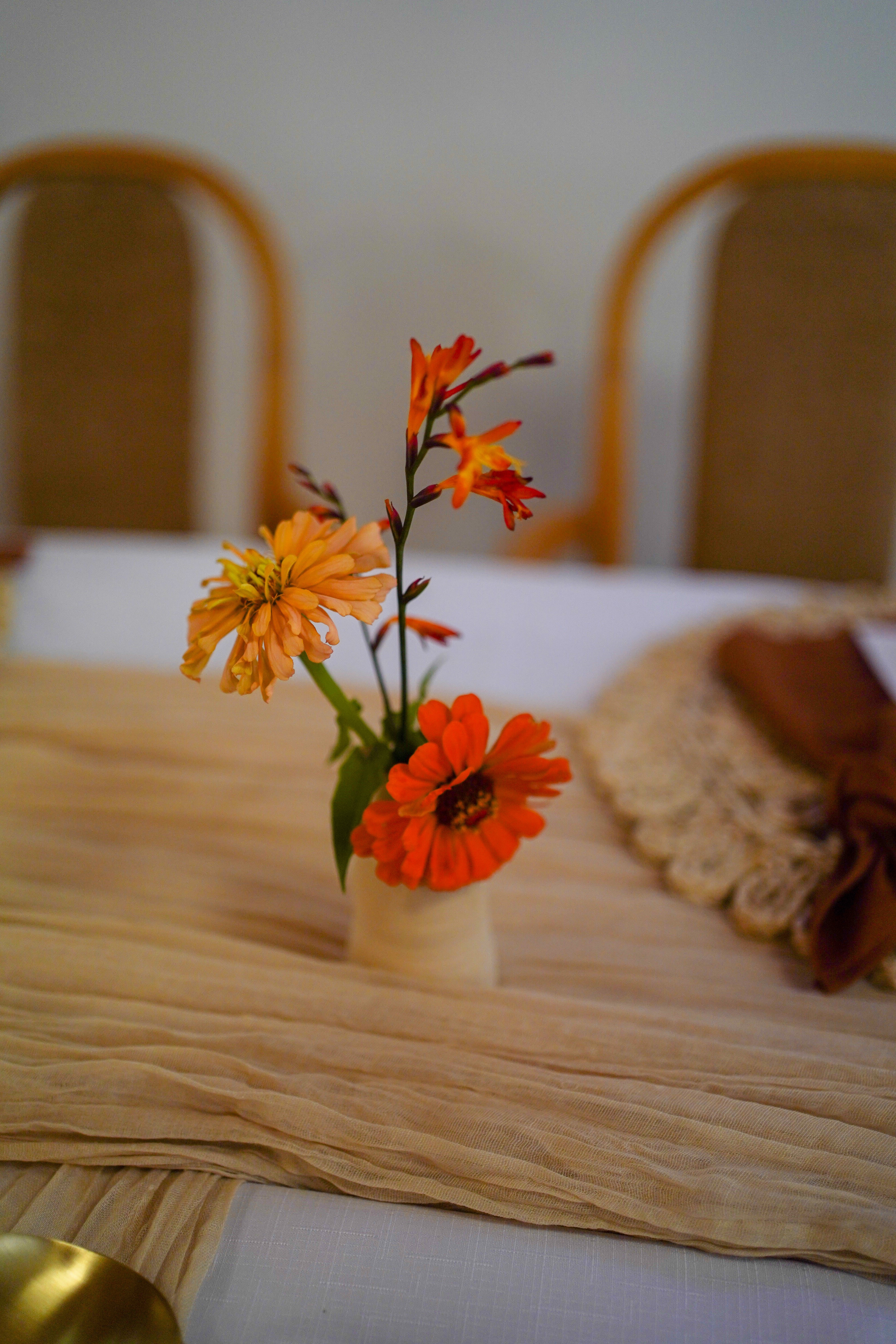 Běhoun gázový Sand 4m